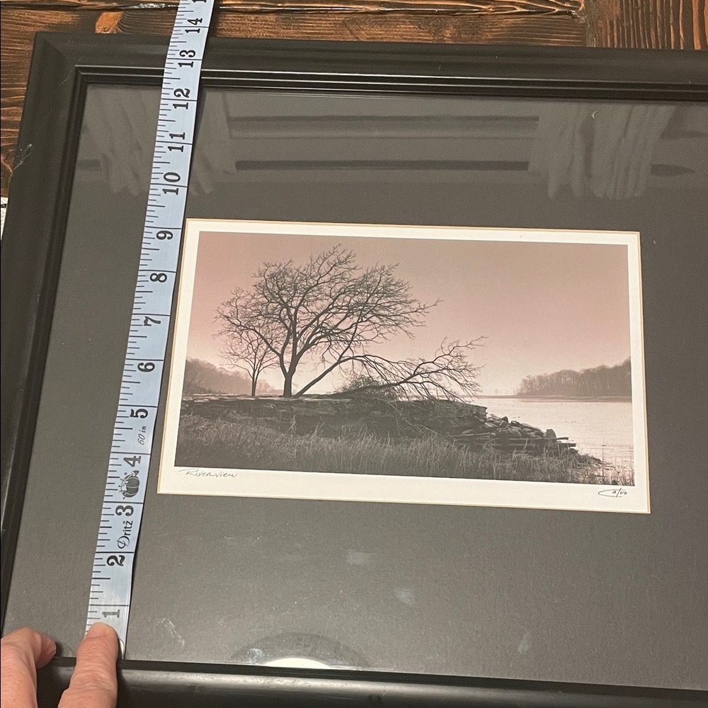 Richard Calvo Riverview Professional Framed Black and White Tree Photograph - Picture 8 of 10